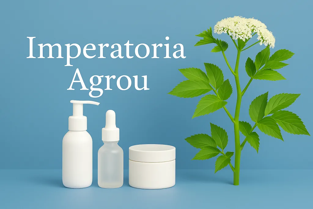 Imperatoria, benefici per la pelle