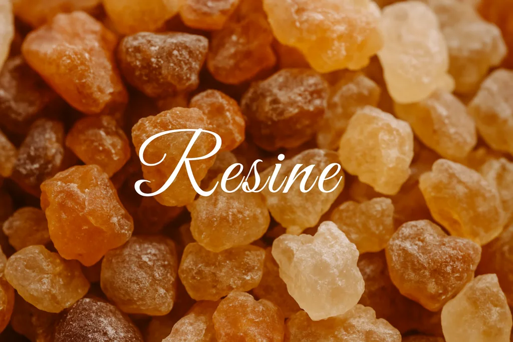 Principi attivi delle piante: Resine, proprietà in cosmesi