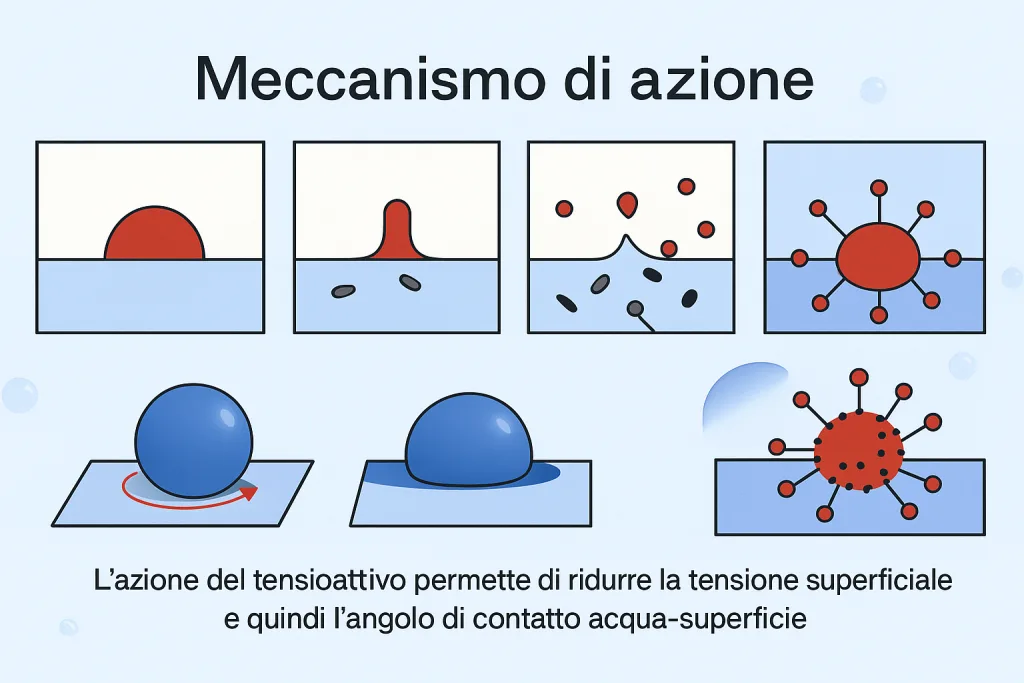 Twnsioattivi  meccanismo di azione
