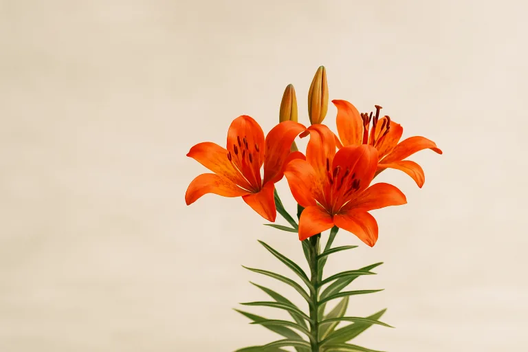 Fiori rossi di angiosperma in ambiente montano, esempio di bellezza naturale e biodiversità vegetale