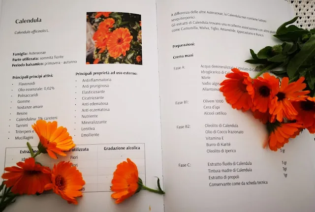 Pagine Manuale